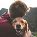 Pet Loss Coach Training Online A Complete Guide to Building a Compassionate Career