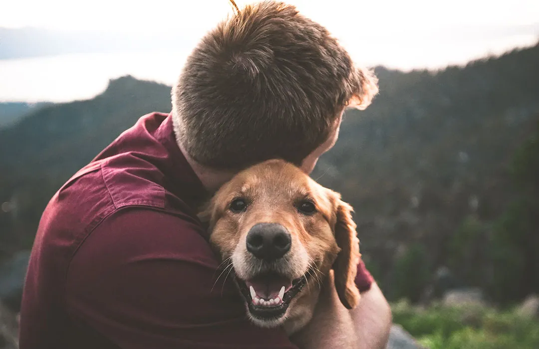 Pet Loss Coach Training Online A Complete Guide to Building a Compassionate Career